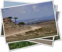 Featured image of post Bienvenue en Patagonie !