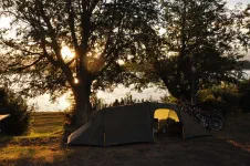 Camping au bord du lac