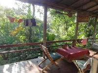 Terrasse du petit hôtel où nous étions ce jour là, dans la forêt