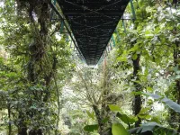 Parc Selvatura, Santa Elena