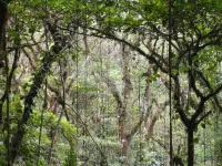 Parc Selvatura, Santa Elena