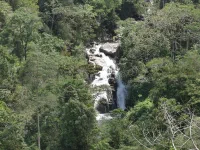Reserva Cloud Bridge, Parc National Chirripo