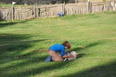 Gratouiller un chien, c'est bon pour le moral