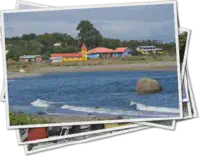 Featured image of post Entre forêts, fjords et volcans