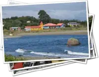Featured image of post Entre forĂŞts, fjords et volcans