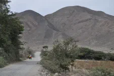 Sortie de Nazca