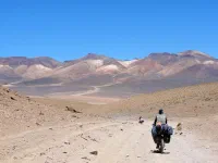Route des lagunes