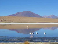 Laguna Cañapa