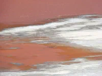 Laguna Colorada