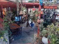 Restaurant tunné par sa propriétaire, qui a versé dans l'art après la mort de son fils du covid. C'est sa thérapie.