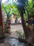 Yaca - chez Gina et Jose