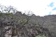 De Chacapuente à Yaca