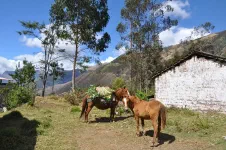 De Abancay à San Pedro de Cachora