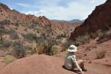"I'm waiting for John Wayne, oh hey"