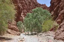 Canyon de l'Inca
