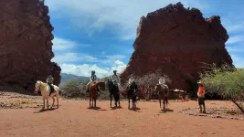 Matinée à cheval dans les canyons autour de Tupiza