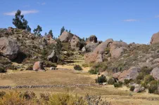 Entre Puquio et Huampulla