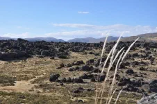 Entre Puquio et Huampulla