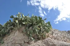 Puquio