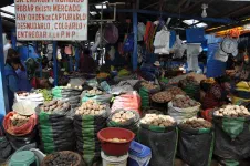Il y a le choix dans les variétés de patates