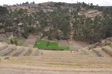 Les terrasses étaient destinées à la culture de pommes de terre et autres tubercules