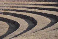 Moray