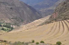Des terrasses à perte de vue, et sur des centaines de mètres de hauteur