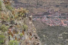 "C'était pas des fainéants les incas !"