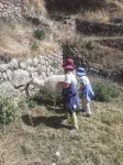 Coucou petit lama