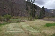 Vallée Sacrée, en route vers Pisac