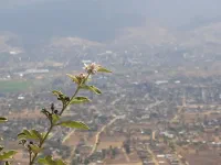 SIte archéologique de Monte Alban, Oaxaca