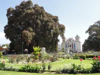 L'arbre "le plus large du monde" à côté d'une église. Après avoir entendu parlé "du plus gros monolithe du monde", etc. on se dit que les mexicains sont les "plus marseillais du monde"