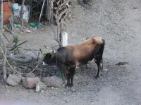 de Oaxaca à Tehuantepec