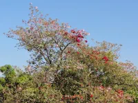 en route vers San Cristobal de Las Casas