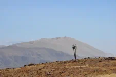 Le Cerro Blanco, dune de sable haute de plus de 2000m. On ne va pas tarder à la dépasser