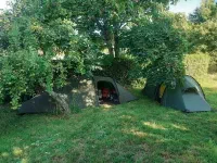 Bivouac sous les pommiers