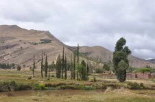 Vers Sicuani