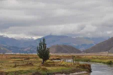 Vers Sicuani
