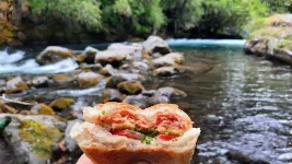 Sandwich de luxe à la saucisse