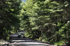 Çane monte pas encore trop fort