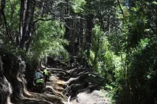 Parc National Villarica
