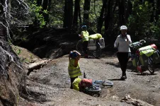 Et chute dans le peloton !