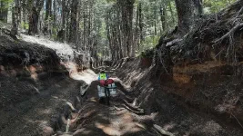 Parc National Villarica