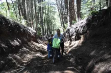 Parc National Villarica