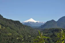 Entre Conaripe et le lac Neltume