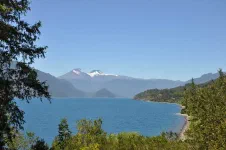 Le long du lac Rinihue