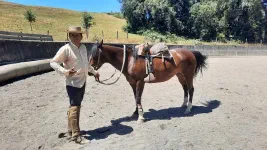 Tenue traditionnelle du huaso