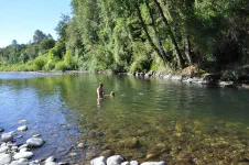 Bivouac au bord du rio Remehue