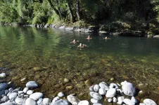 Bivouac au bord du rio Remehue