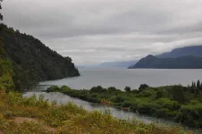 De Choshuenco à Rinihue